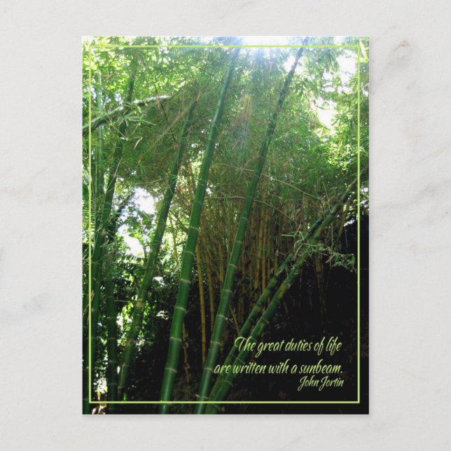 Sunbeam Postcard (Front)