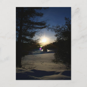 Sunbeams and Daydreams Postcard