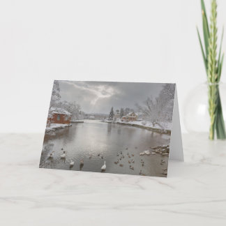 Sunbeams embrace the duck pond card