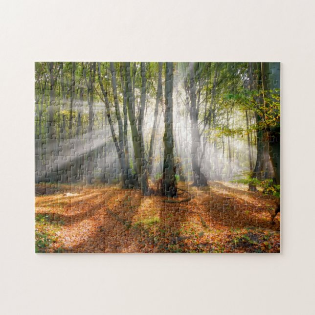 Sunbeams in a misty beech tree forest in autumn - jigsaw puzzle (Horizontal)
