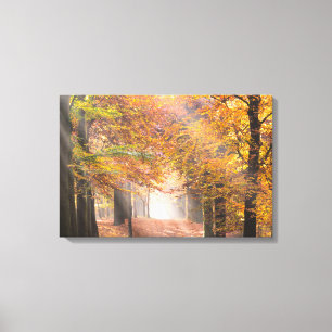 Sunbeams in an autumn forest canvas print