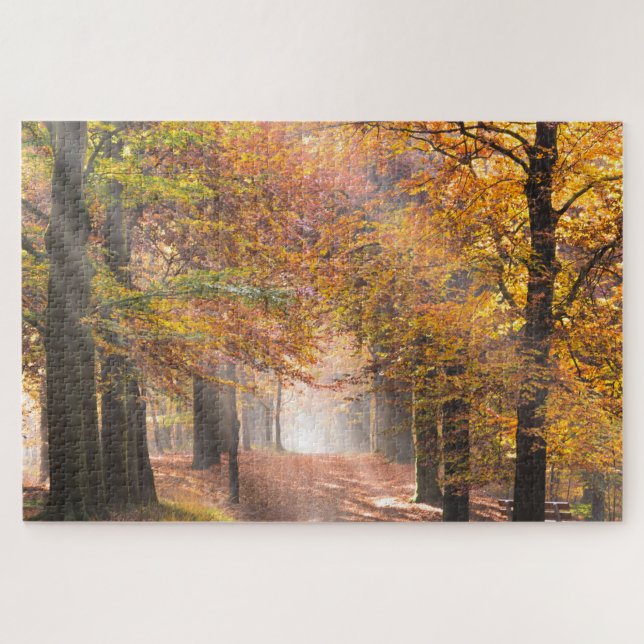 Sunbeams in an autumn forest jigsaw puzzle (Horizontal)