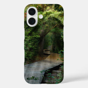 Sunbeams in forest iPhone 16 case