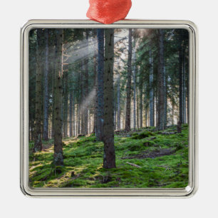 Sunbeams in the Black Forest Metal Ornament