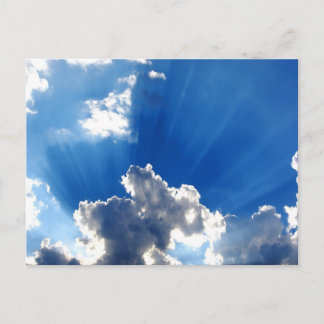 Sunbeams Postcard