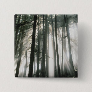 Sunbeams streaming through trees, Mount Rainier 2 Inch Square Button