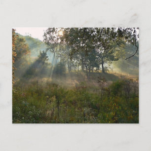 sunburst 07 postcard