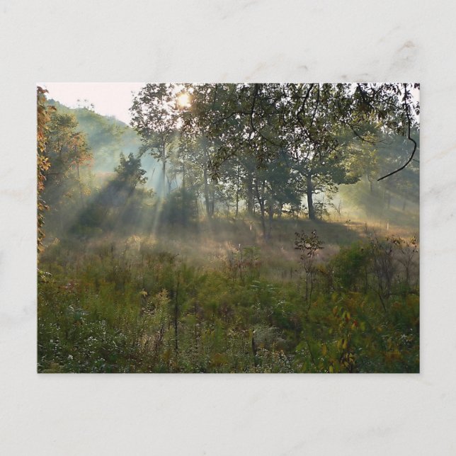 sunburst 07 postcard (Front)