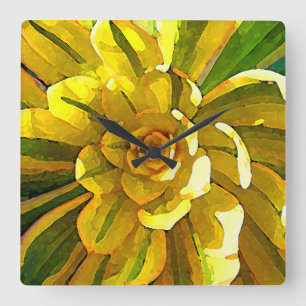 Sunburst Aeonium Succulent Square by Amy Vangsgard Square Wall Clock