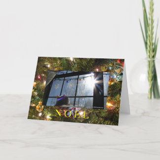 Sunburst Cat 2/ Noel Holiday Card