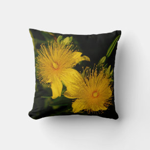 Sunburst Flowers Pillow