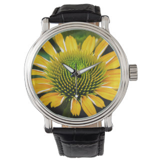 Sunburst Yellow Coneflower Watch