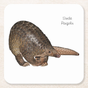 Sunda Pangolin Coasters
