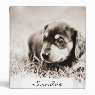 Sundae 4 wks-Lovebug Doxies Keepsake Album Binder