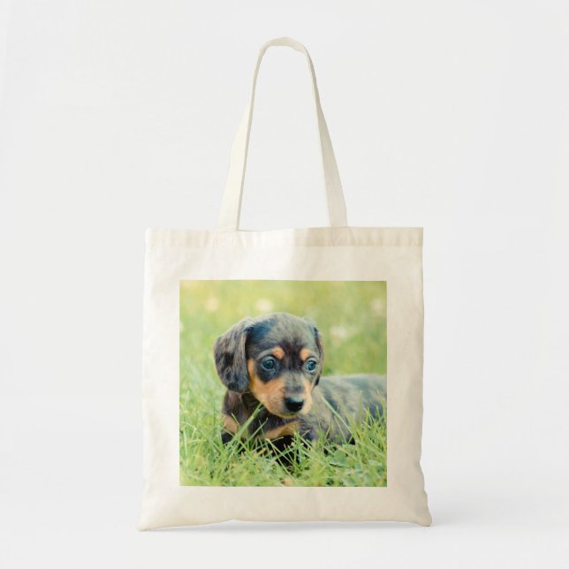 Sundae-Lovebug Doxies Keepsake Tote Bag (Front)