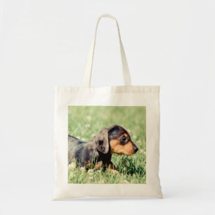 Sundae-Lovebug Doxies Keepsake Tote Bag