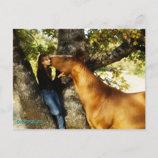 Sundance whisper postcard