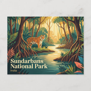 Sundarbans National Park Tiger Reserve India Postcard