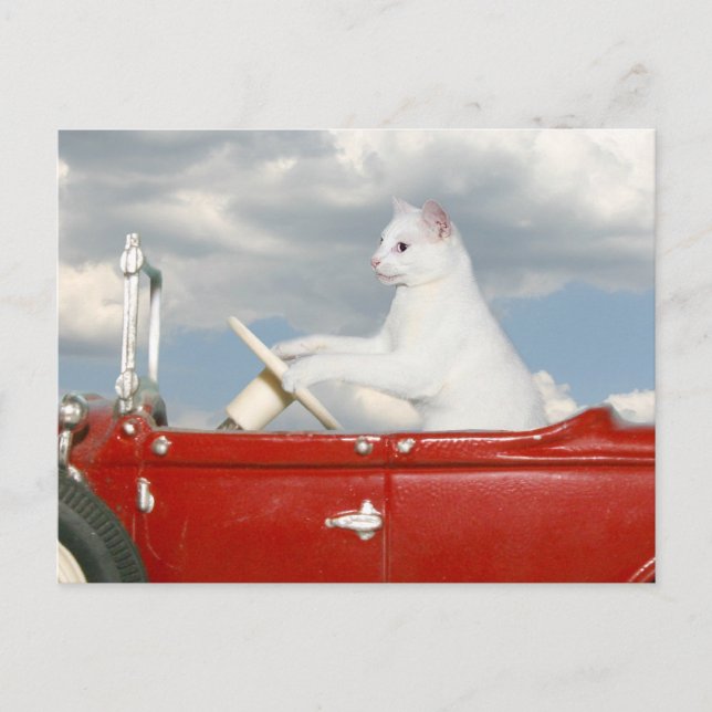 Sunday drive postcard (Front)