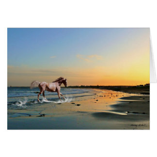 Sunderland - Seaburn Beach