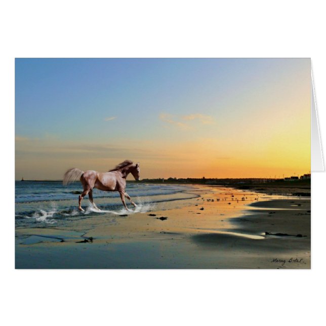 Sunderland - Seaburn Beach (Front Horizontal)