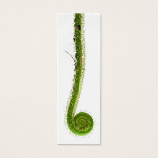 Sundew Frond Bookmark