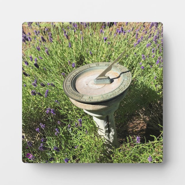 Sundial in Lavender Plaque (Front)