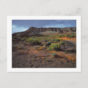 "Sundowner Plateau" Postcard