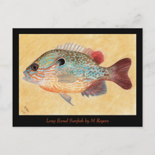Sunfish Art Card