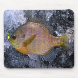 Sunfish Mouse Pad