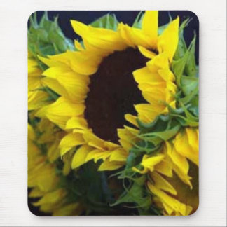 Sunfllower Study by debbieophotography Mouse Pad