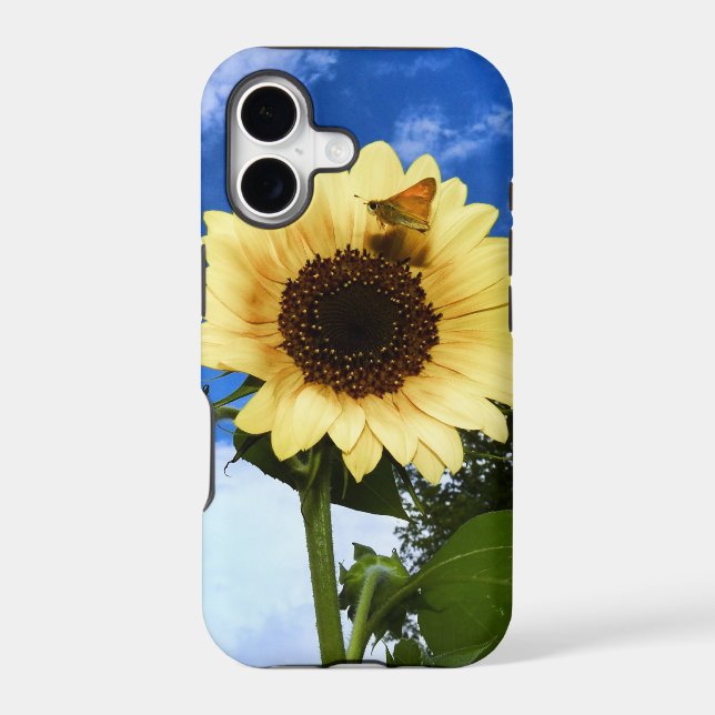 Sunflower (Back)
