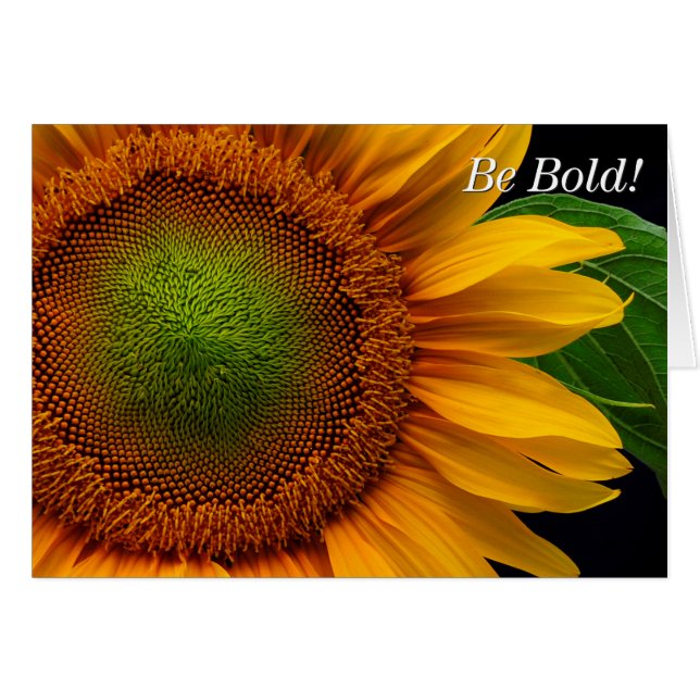 Sunflower (Front Horizontal)