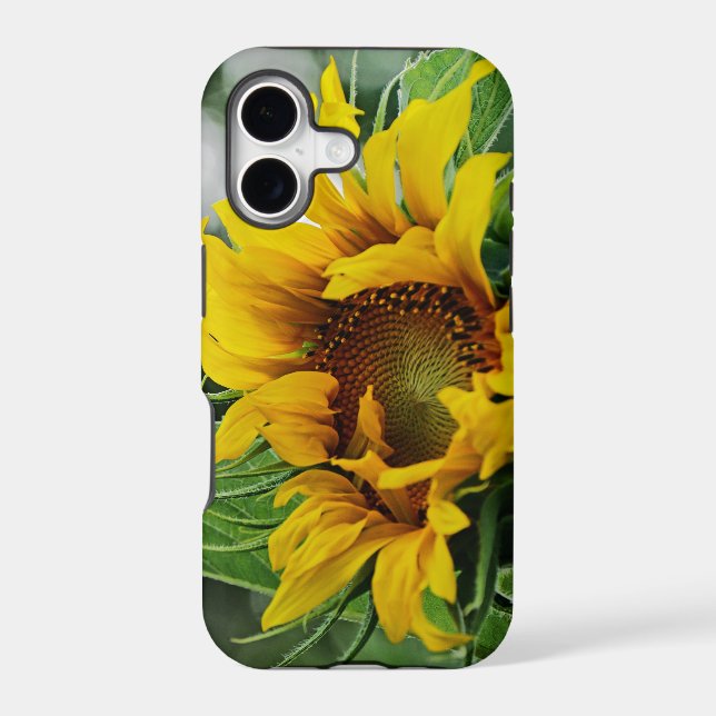 Sunflower (Back)
