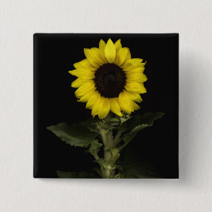 Sunflower 11 2 inch square button