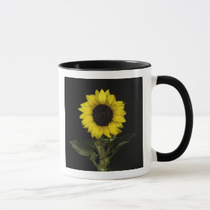 Sunflower 11 mug