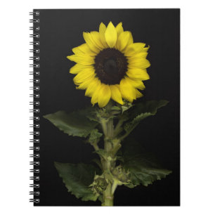 Sunflower 11 notebook