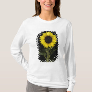 Sunflower 11 T-Shirt