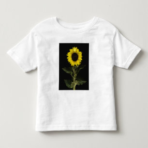 Sunflower 11 toddler t-shirt