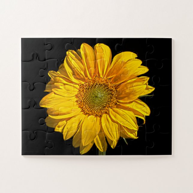 Sunflower 11x14 30pc jpcna jigsaw puzzle (Horizontal)