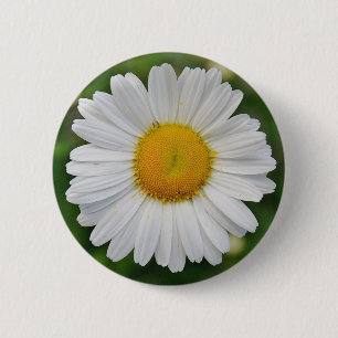 Sunflower 2 Inch Round Button