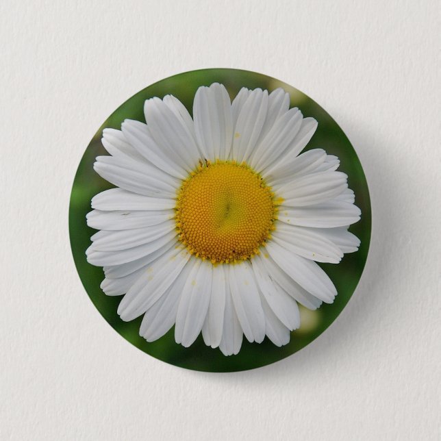 Sunflower 2 Inch Round Button (Front)