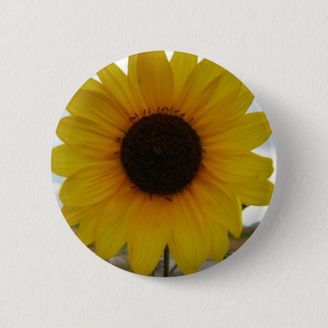 sunflower 2 inch round button (Front)