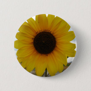 sunflower 2 inch round button