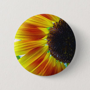 Sunflower 2 Inch Round Button