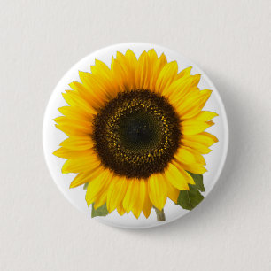 Sunflower 2 Inch Round Button