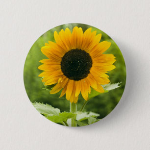 Sunflower 2 Inch Round Button