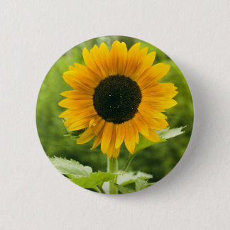 Sunflower 2 Inch Round Button