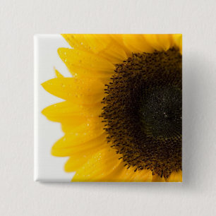 sunflower 2 inch square button