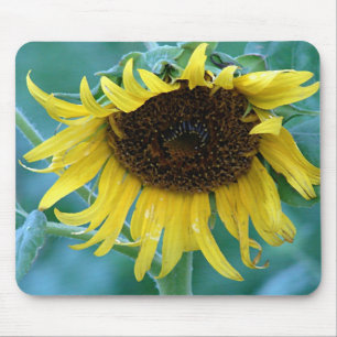 Sunflower 2 mouse pad